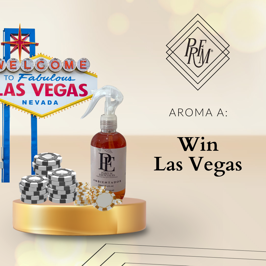 AMBIENTADOR WIN LAS VEGAS