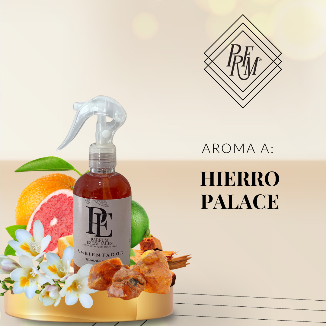 AMBIENTADOR HIERRO PALACE