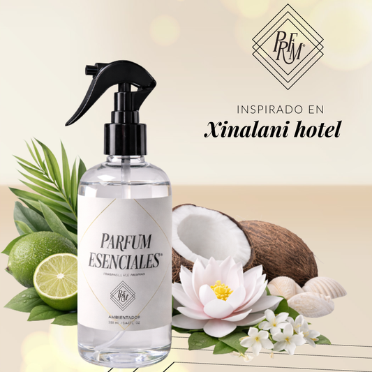 AMBIENTADOR INSPIRADO EN XINALANI
