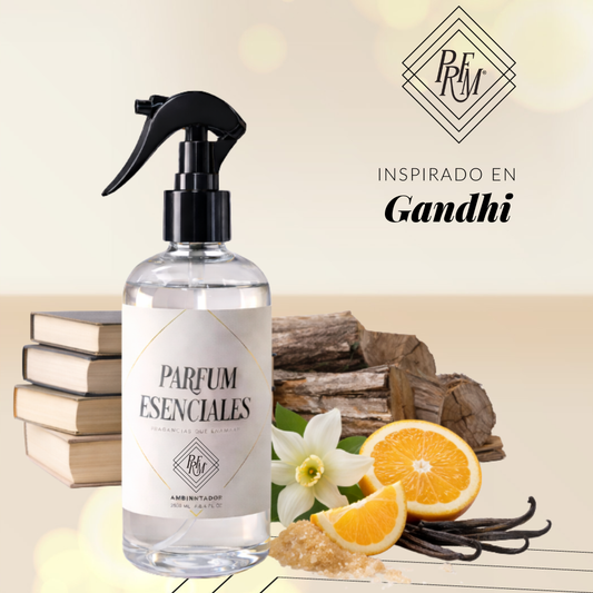 AMBIENTADOR GANDHI
